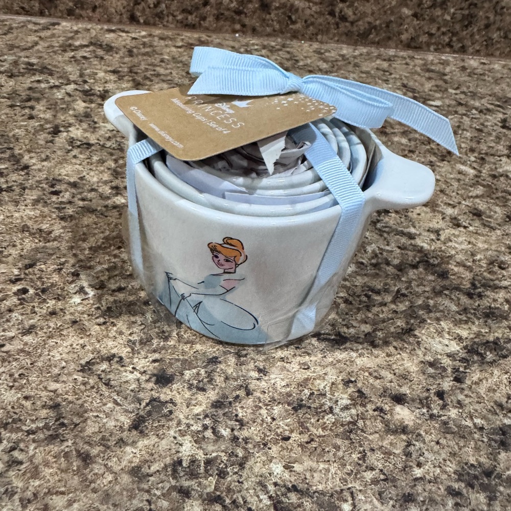 Rae Dunn Blue and White Ceramic Measuring cup Set